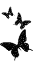 black butterflys