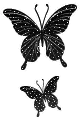 black butterflys