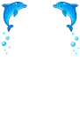 dolphin arooj