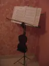violin