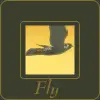 fly
