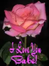 Rose
