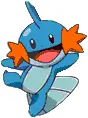 PKM