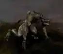 :~:Werewolf:~: