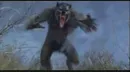 :~:Were-Wolf:~: