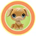 Cute little doggy