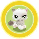 cute little kitty