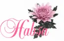 Habsa