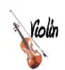 Violin