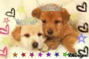 Cute, Adorable Puppies