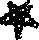black star