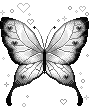 cute butterfly 