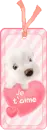 cute puppy