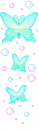 butterflys