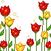 tulips