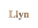 Llyn explosion