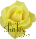Shirley