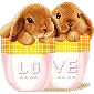 cutee