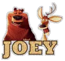 Joey w/open season