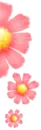 cute flowers