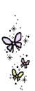 butterflys