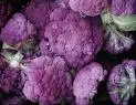 purple broccoli