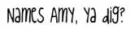 names amy
