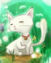 white cat