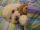 sweet