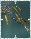 the beauty of nature