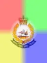 hong kong police