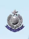 hong kong police