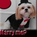 Marry me?