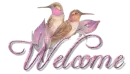 welcome