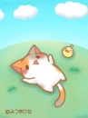 cute kawaii kitty cat