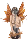 shaunarocknfairy
