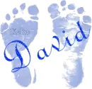 David