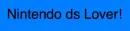 nintendo ds
