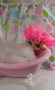 petite blythe