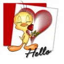 Hello