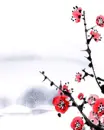 japanese cherry tree