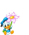 cute kawaii disney baby donald duck