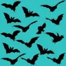 bats