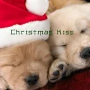 pupplove