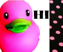 hi