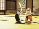 Kitten Fighting