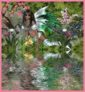 Fairy Reflection