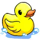 rubber duck