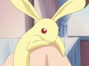 Momiji in rabbit form