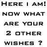 YOUR WISH =)